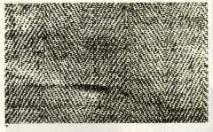 Photographie en noir et blanc du tissu du Suaire ; l'aspect en chevrons est parfaitement visible. Pour donner l'�chelle, la largeur de l'�chantillon photographi� est d'environ 3 cm.  (15099 octets)